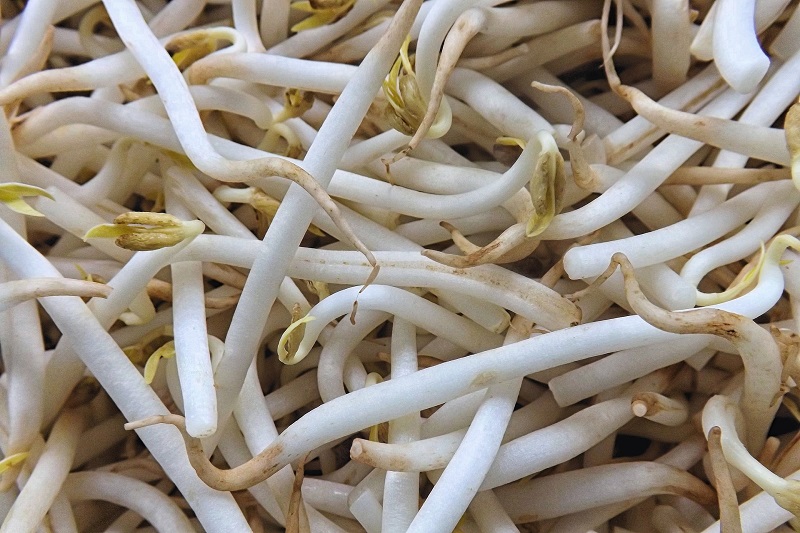 Taugé