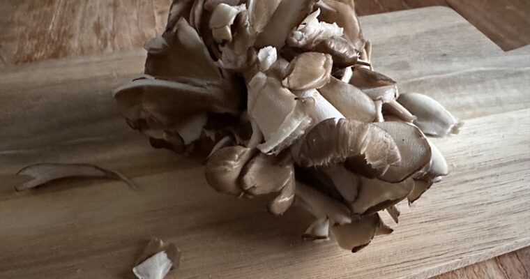 Maitake